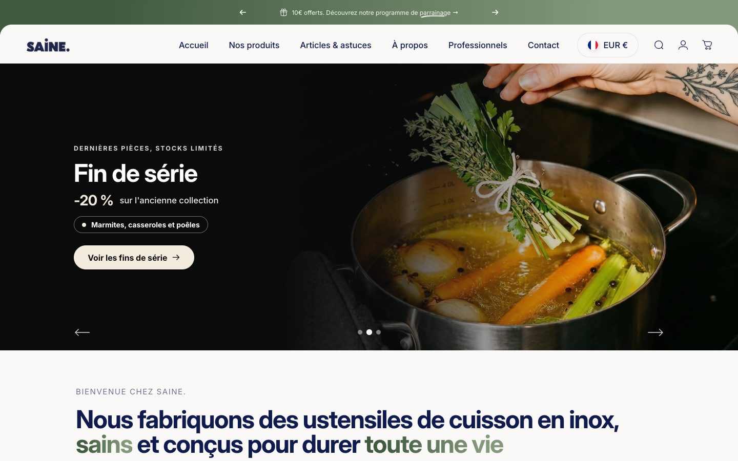 Aperçu du site SAINE